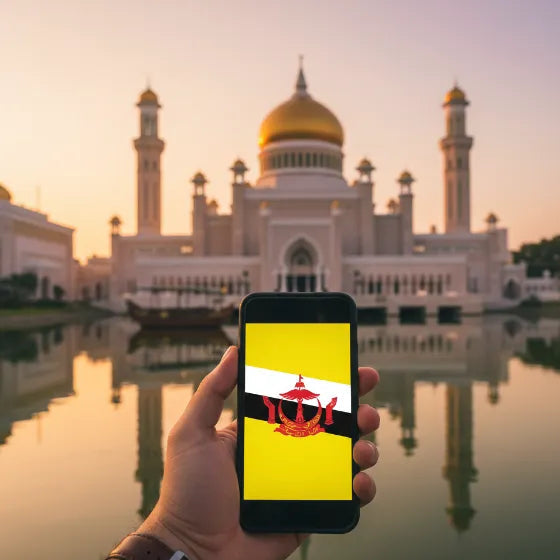 eSIM de Airnetly para Brunei: Internet móvil confiable en el sudeste asiático.