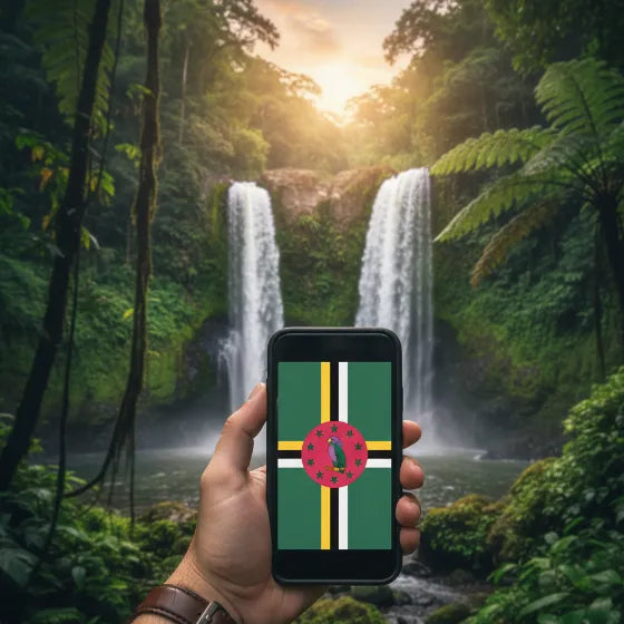 Airnetly eSIM for the Dominican Republic – vacation internet without roaming.