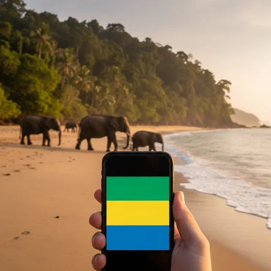 Airnetly eSIM for Gabon – mobile data connection for Central Africa.