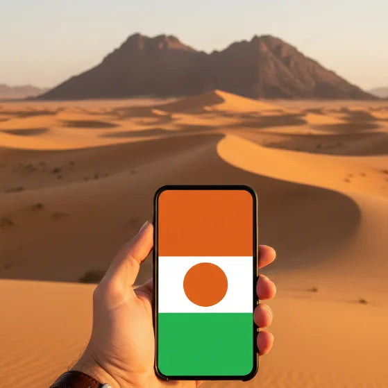 Airnetly eSIM for Niger – fast mobile internet in West Africa.