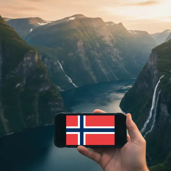 Airnetly eSIM for Norway – stable network for fjords and cities.